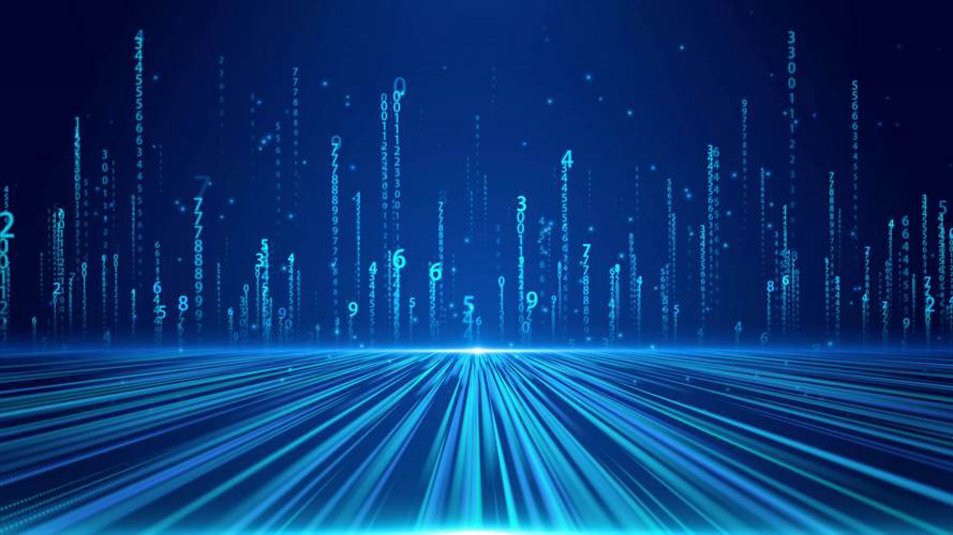 灵猪网络科技